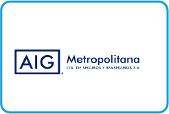 logo_AIG